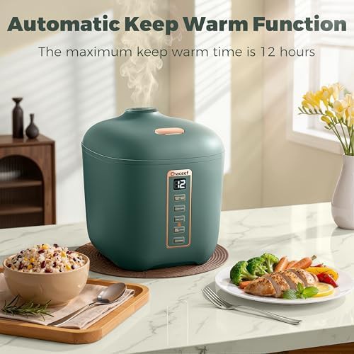 Small green portable rice cooker 2 cups — photo 5