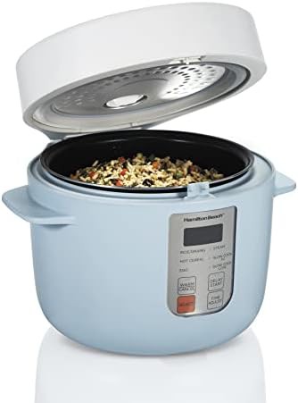 Digital programmable cooker with steamer