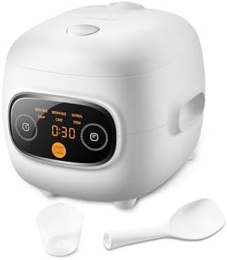 Mini two cup digital cooker