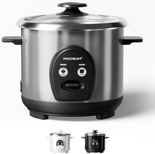 Small silver cooker with stainless steel pot