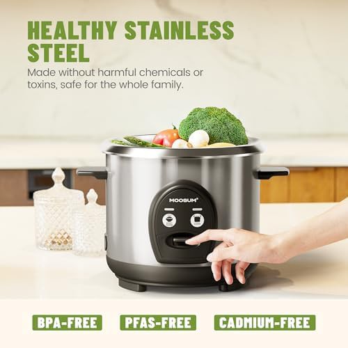 Small silver cooker with stainless steel pot — photo 3