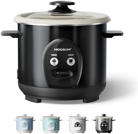 Small dark cooker with ceramic inner pot
