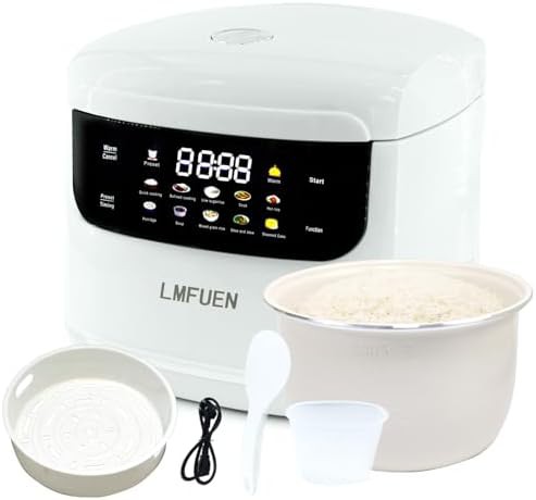 Portable digital mini ceramic cooker