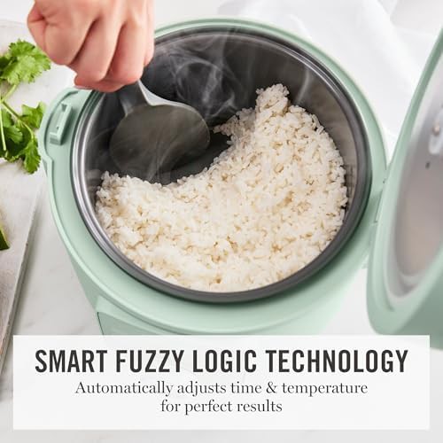 Sage green fuzzy logic cooker and steamer — photo 4