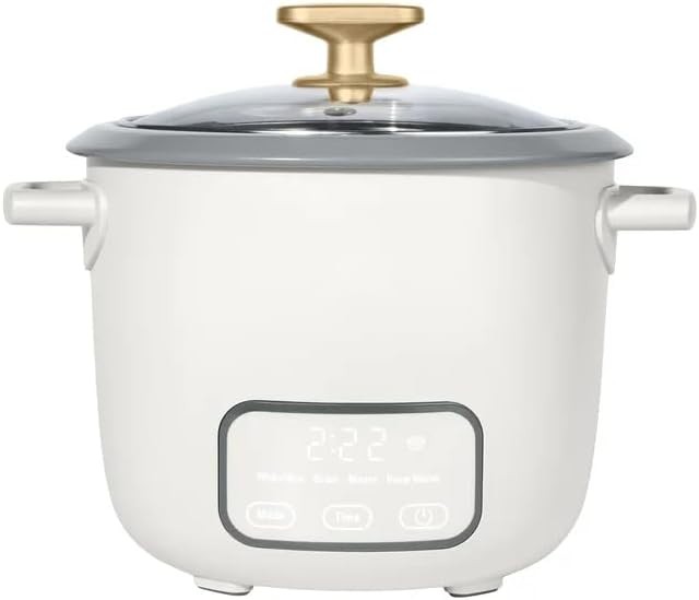 Touch display cooker with glass lid